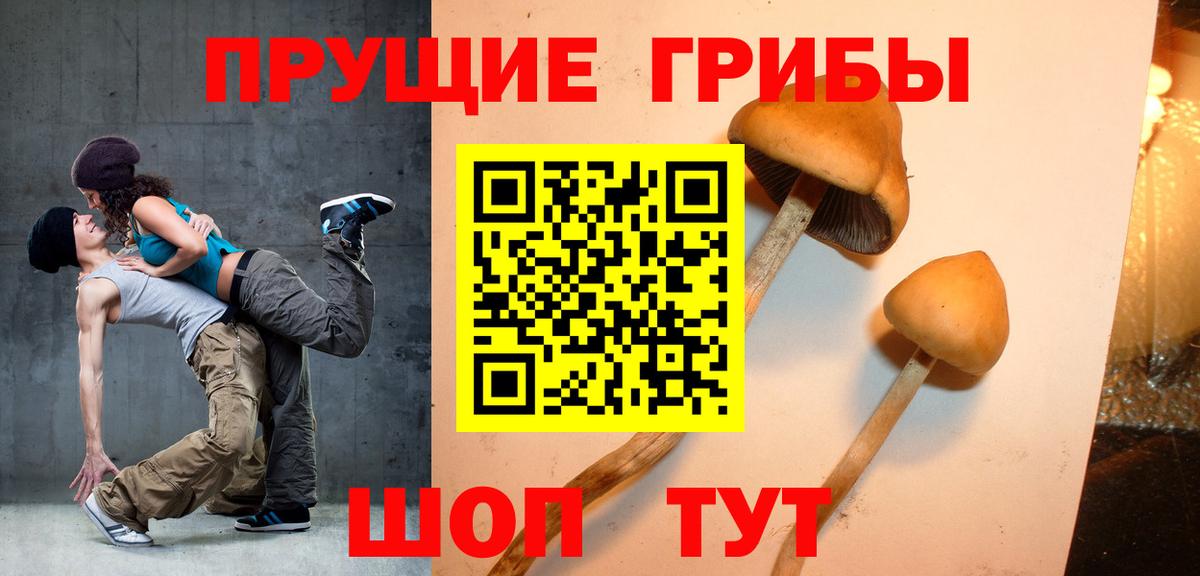 Галлюциногенные грибы Magic Shrooms Сегежа